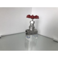 stainless steel globe valve with ANSI standard